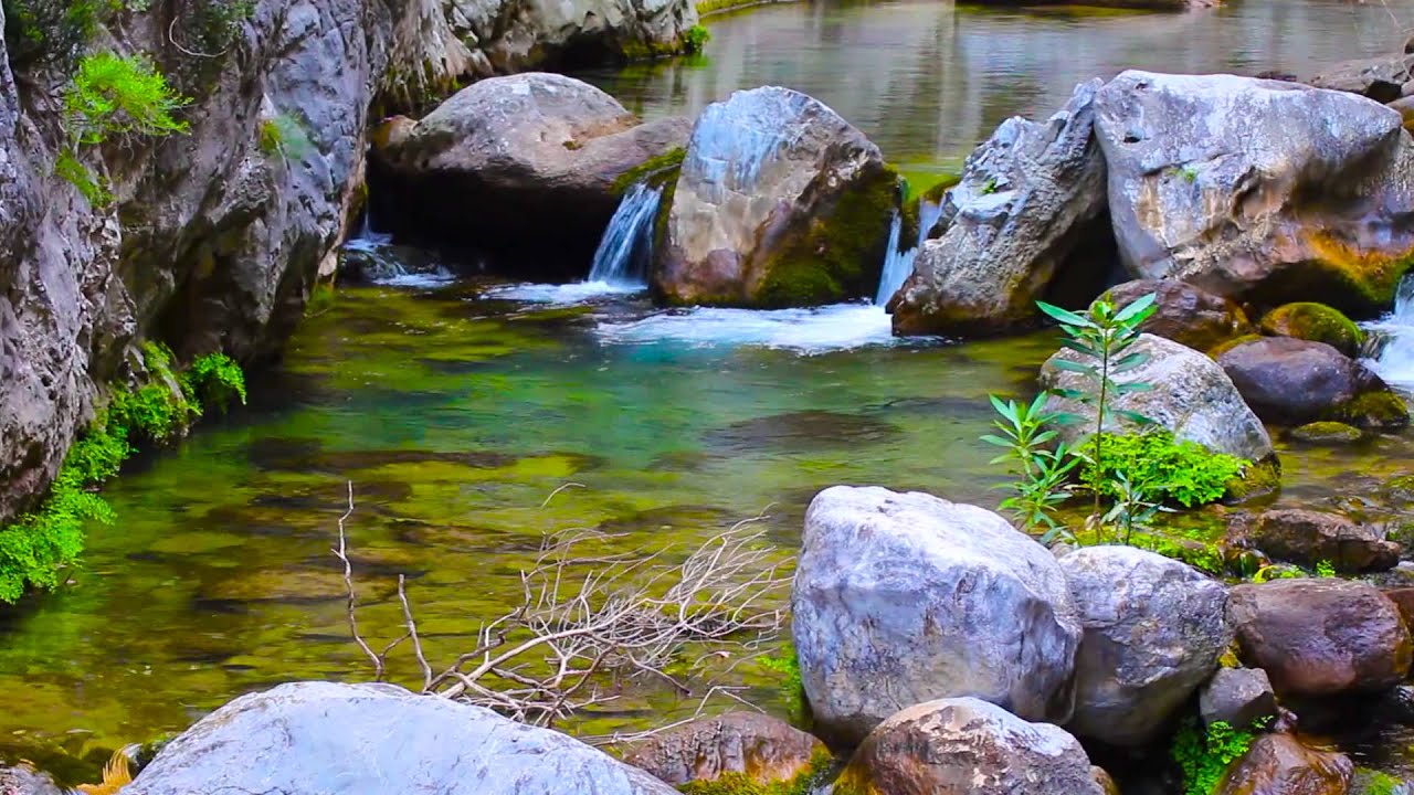 [Ленни Россоловски] Продление жизни_0.jpg